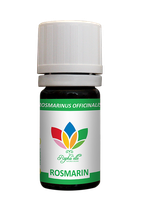 Rosmarin Dandelion