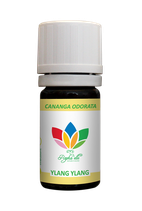 Ylang Ylang Dandelion