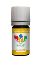 Ingwer Dandelion 10ml