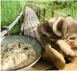 RISOTTO DE PLEUROTES  BIO 2 PERSONNES 200g