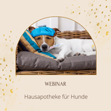 Webinar-Aufzeichnung "Hausapotheke für Hunde"