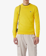 LACOSTE MAGLIA COTONE