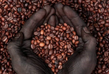 Äthiopische Kaffee Handgeröstet Hoch aroma Arabica  250Gr