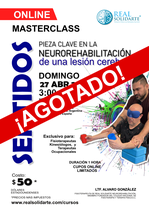 MASTERCLASS ONLINE PARA FISIOTERAPEUTAS (SENTIDOS: CLAVE EN LA NEUROREHABILITACIÓN)