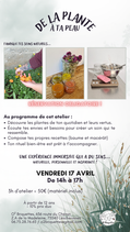 Atelier "De la plante à ta peau"