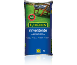 CONCIME EVERGREEN RINVERDENTE KG 5