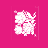 2025-255 TULIPANES