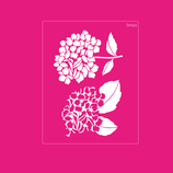 2025-259 HORTENSIA