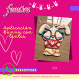 APLICACION BUNNY CON LENTES