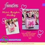 MINI BUZON MICKY