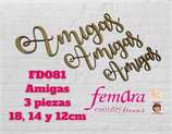 FD-081 AMIGAS