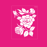 2025-232 ROSAS