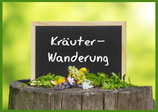 Kräuterwanderung Planung und Organisation 07.05.2024