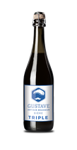 C14 - Bouteille de bière triple