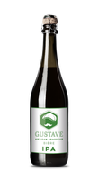 C17 - Bouteille de bière IPA