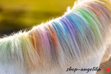 Lucky Horse Unicorn regenbogenfarbige Kreide