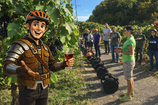 Segway-Tour Neckarsulm Weinerlebnisführung