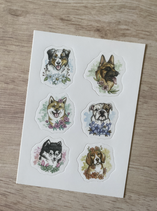 planche stickers "ma petite encyclopédie des chiens"