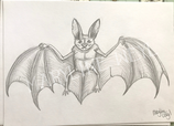 Dessin original "chauve souris"