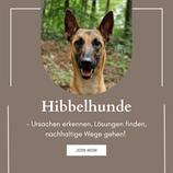 Hibbelhunde - Onlinekurs