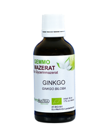 360 Ginkgo ( Ginkgo Biloba  )