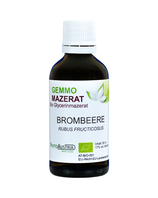352 Brombeere ( Rubus Fruticosus )