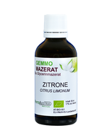 383 Zitrone ( Citrus Limonum )