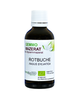 387 Rotbuche ( Fagus Sylvatica )