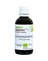 375 Schwarzpappel ( Populus Nigra )