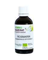 374 Rosmarin ( Rosmarinus Officinalis )