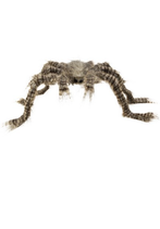 Ragno peloso marrone, nero, grigio, 50 x 70 cm 1 pz