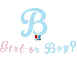 Festone Sagomato "Girl or Boy?" 3m