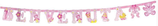 Festone Nascita Benvenuta Rosa 2,15mt