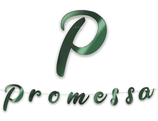 Festone Promessa Verde "Green" 3mt