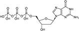 Nucleotide: dGTP - #110-012G - 1000 µl - 100mM