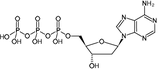 dATP - #110-012A - 100 mM - 1 ml