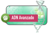 ADN Avanzado Instructor 17 - 19 Septiembre
