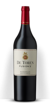 De Toren Fusion V 2017