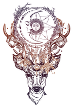 BVTKS-Fernstudium 2027 "Holistische Tierkommunikation & Medialität"