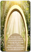 Karte des Lichts – ein klarer Impuls für den Tag