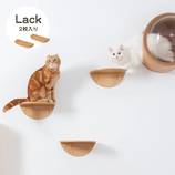 MYZOO‐ROUND LACK (2pcs)