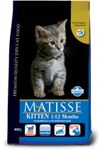 Matisse Kitten 1-12 months
