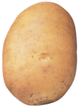 Semenceaux de pommes de terre ’Agata’