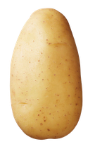 Semenceaux de pommes de terre ’Erika’