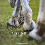 Kraft-Huf