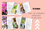 Einzelöle Digitale Doterra Digitale Grafiken