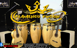 Libreria Flamenco Fusion Kontakt