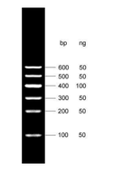 Marcador de ADN I con rango de 100 a 600pb Marca ELK Biotechnology EDL109