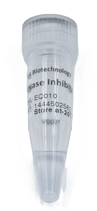 RNase Inhibitor  Marca ELK Biotechnology EQ010