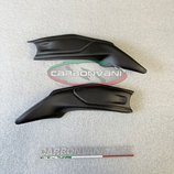 PANIGALE V4 2025 UNDERSEAT FRAME COVER